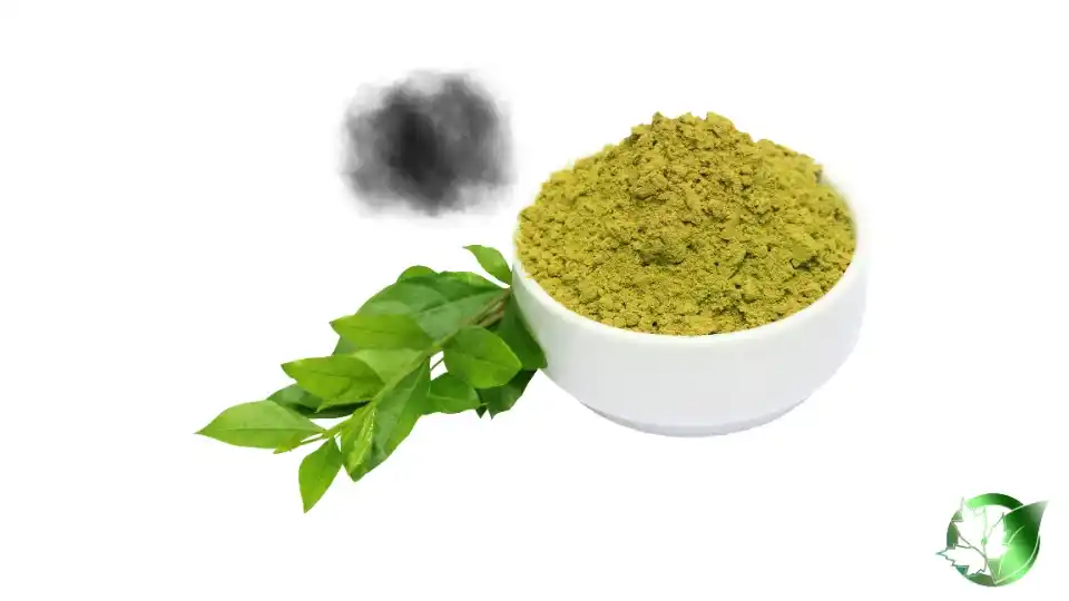 Bulk Black Henna | Suppliers | Wholesale | ParsaFood Global